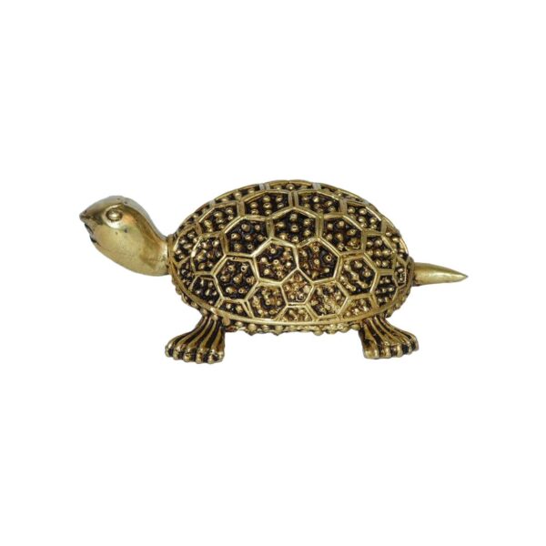 Brass Tortoise 1.5 Inch KBH10250