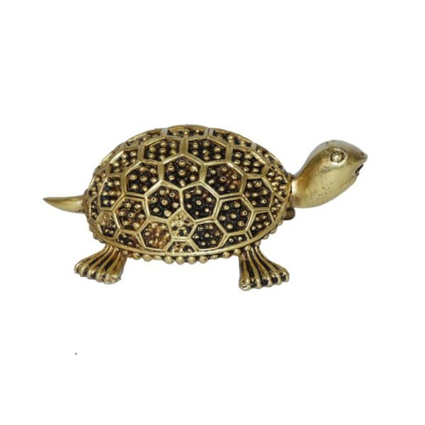 Brass Tortoise 1.5 Inch KBH10250