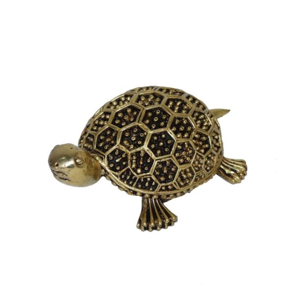 Brass Tortoise 1.5 Inch KBH10250