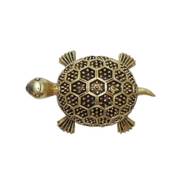 Brass Tortoise 1.5 Inch KBH10250