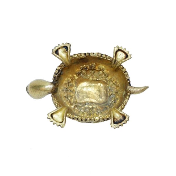 Brass Tortoise 1.5 Inch KBH10250