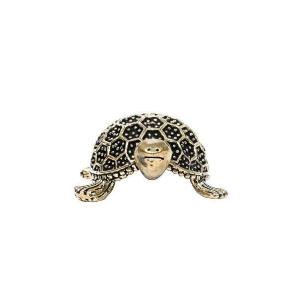 Brass Tortoise 1 Inch KBH10359