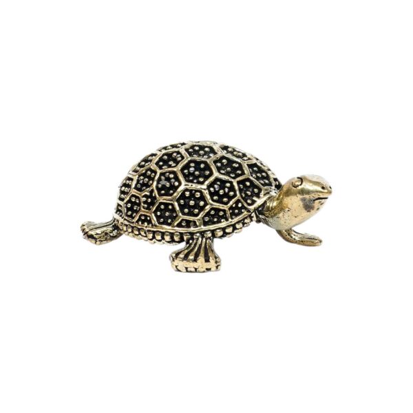 Brass Tortoise 1 Inch KBH10359