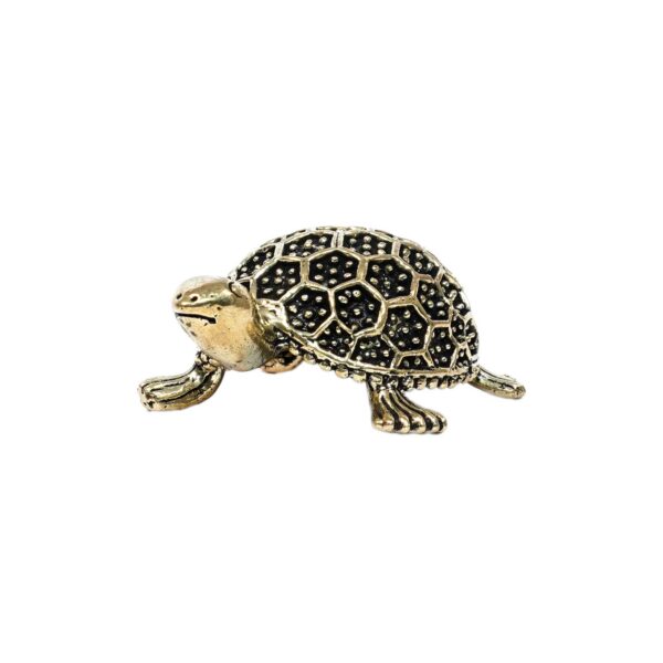 Brass Tortoise 1 Inch KBH10359