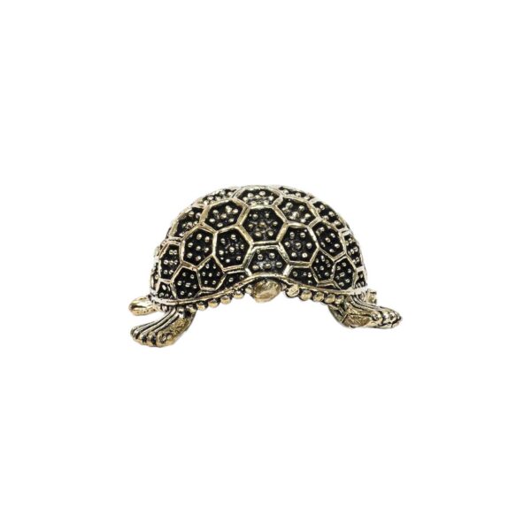 Brass Tortoise 1 Inch KBH10359