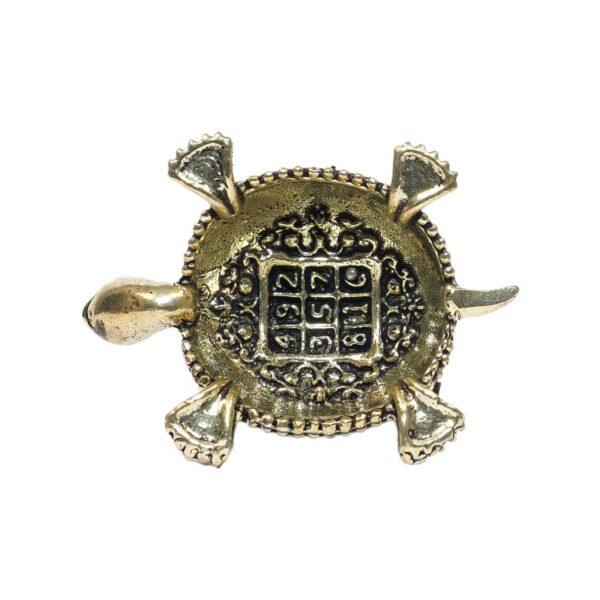 Brass Tortoise 1 Inch KBH10359