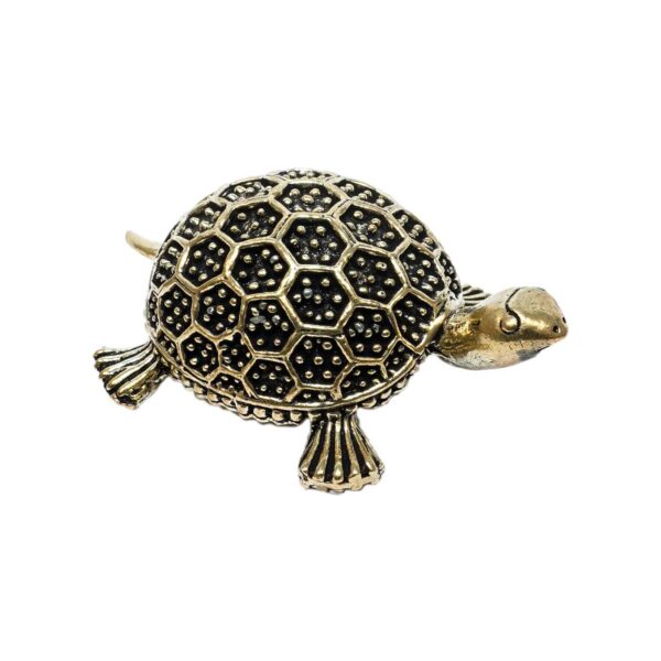 Brass Tortoise 1 Inch KBH10359