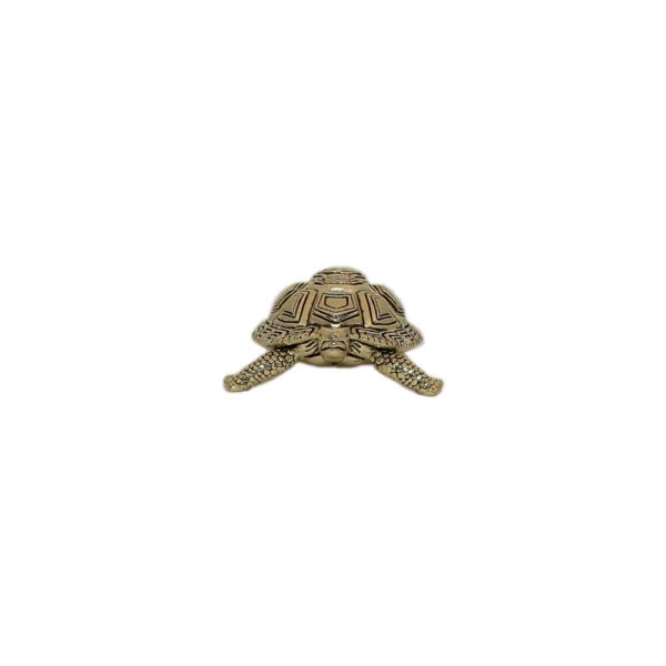 Brass Tortoise 0.7 Inch KBH10413