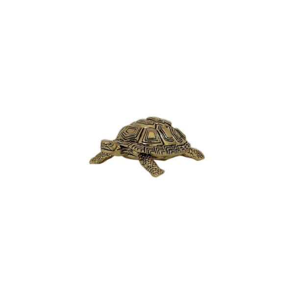 Brass Tortoise 0.7 Inch KBH10413