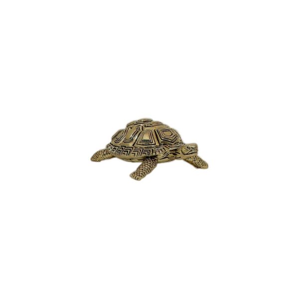 Brass Tortoise 0.7 Inch KBH10413