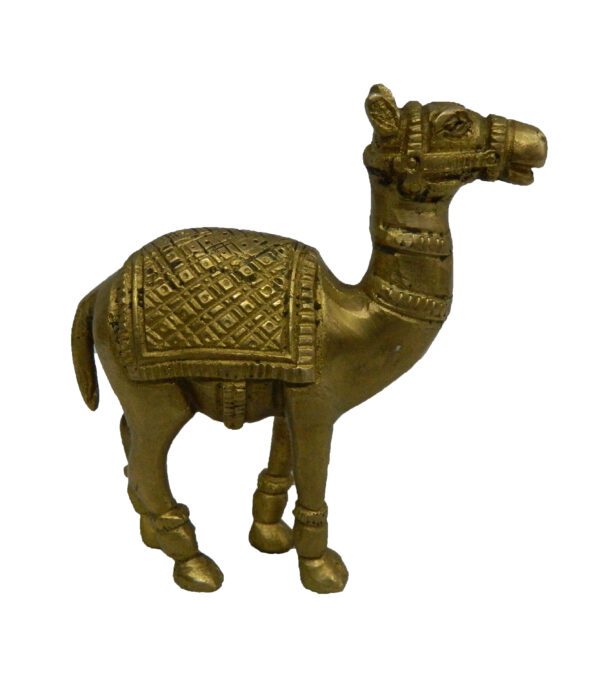 Brass Camel 4.5 Inch KBH04192