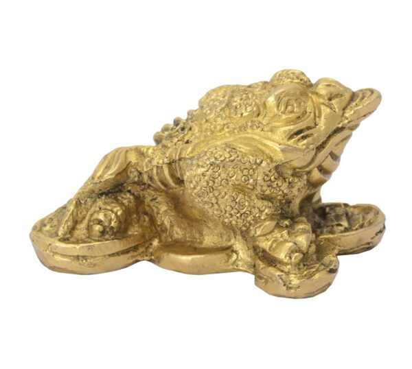 Brass frog 1.1 Inch KBH06295