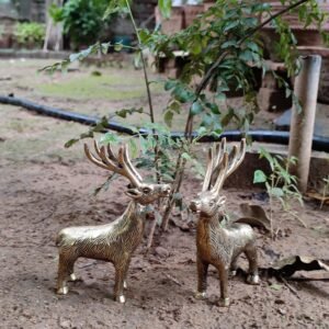 KALARAMKBH Brass Deear pair 5.5 Inch, Pcs