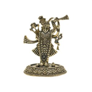 Brass Shrinathji