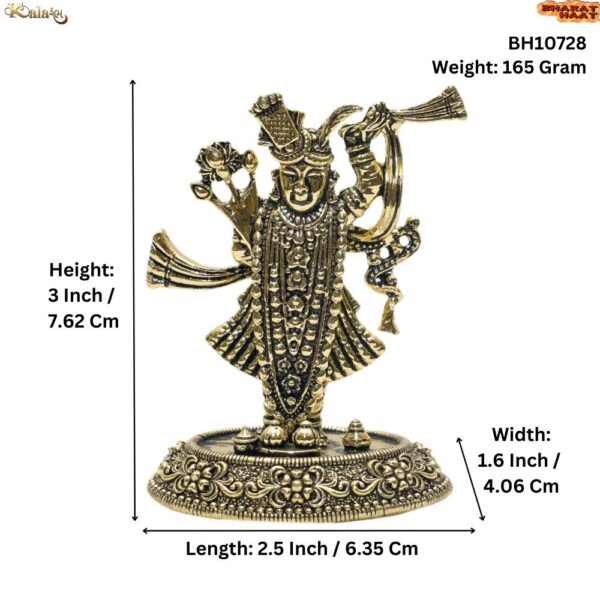 Brass Shrinathji