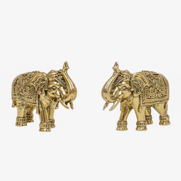 Brass Elephant 0.8 Inch KBH10943
