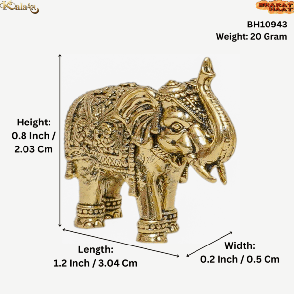 Brass Elephant 0.8 Inch KBH10943