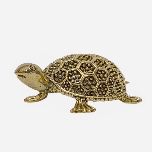Brass Tortoise 1 Inch KBH10999