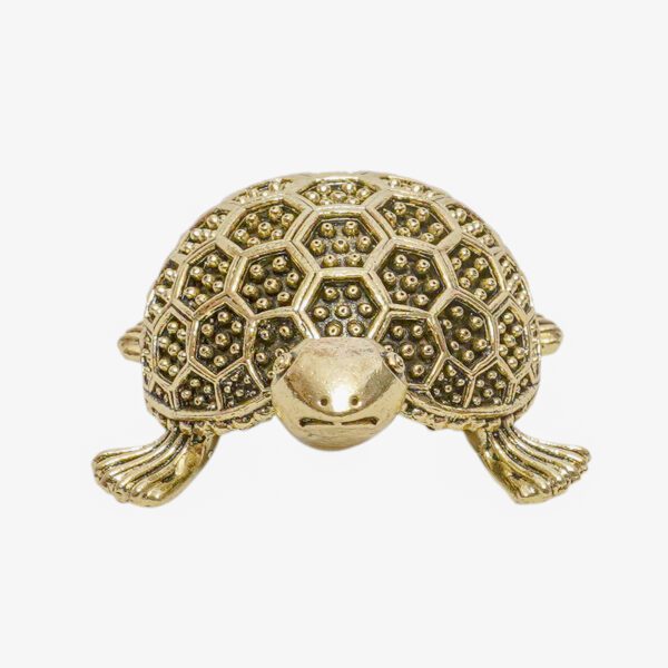 Brass Tortoise 1 Inch KBH10999