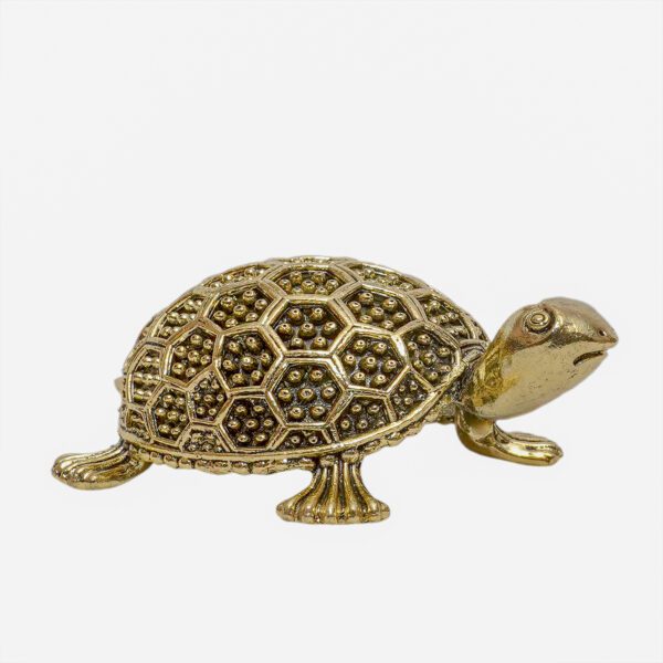 Brass Tortoise 1 Inch KBH10999