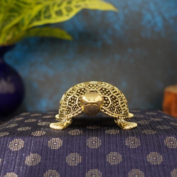 Brass Tortoise 1 Inch KBH10999
