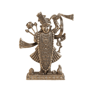 Brass Shreenathji 3 Inch KBH11050