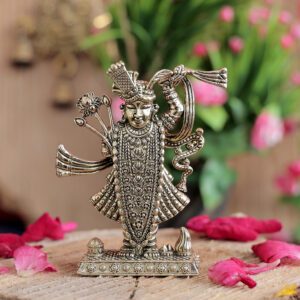 Brass Shreenathji 3 Inch KBH11050