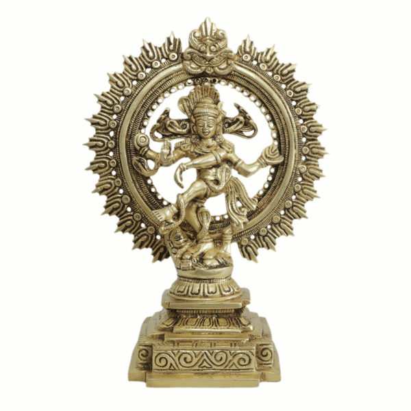 Brass Natraj 9.7 Inch KBH11522