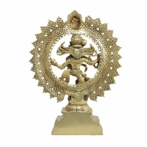 Brass Natraj 9.7 Inch KBH11522