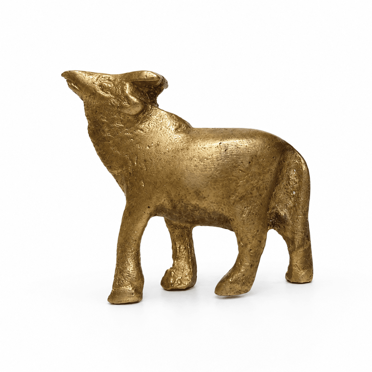 Brass Buffalo 1 Inch KBH8562_79 Brass Buffalo 1 Inch KBH8562_79