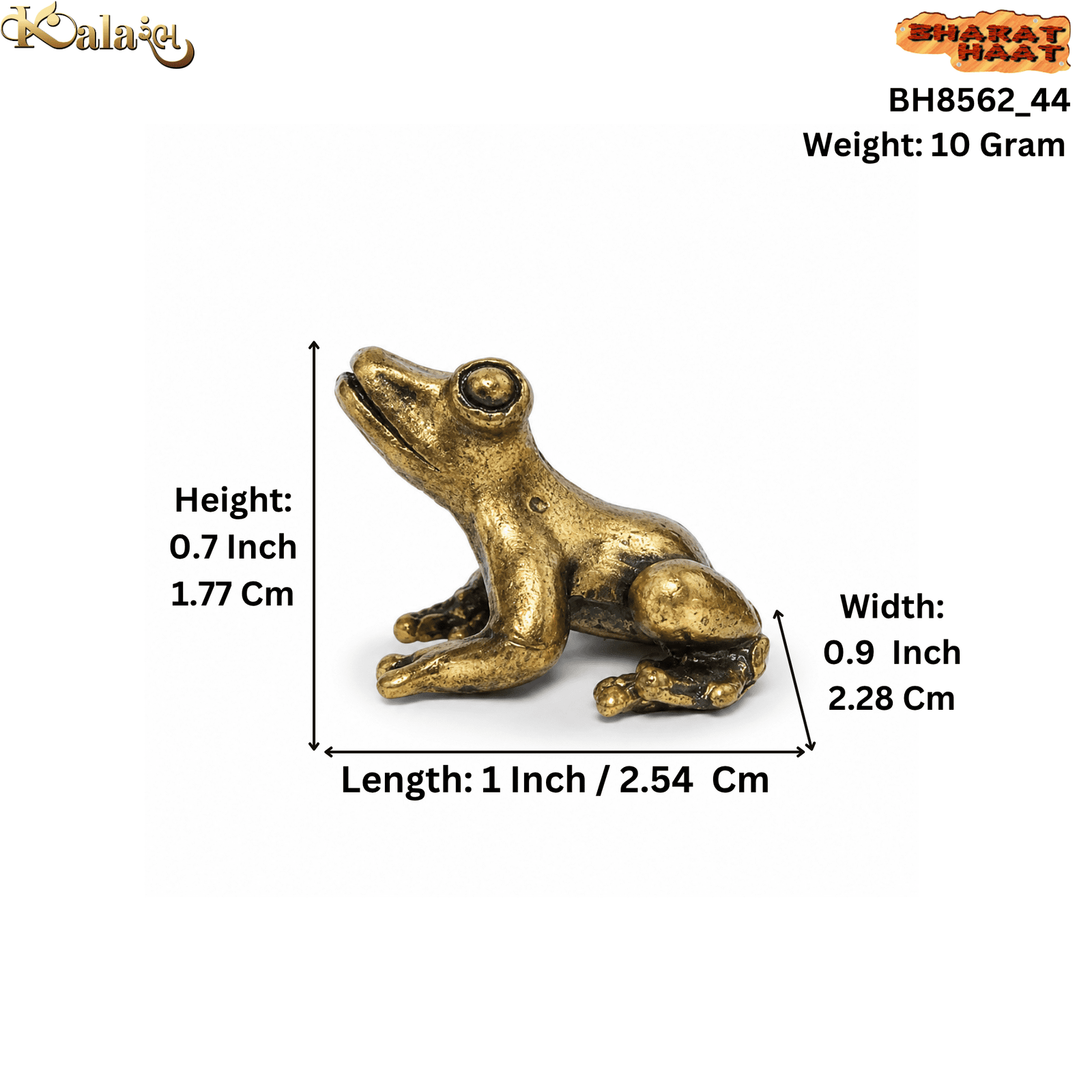 Size Image frog