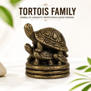 Brass Tortois Family 0.7 Inch KBH8562_10