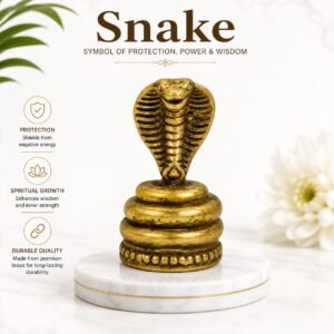 Brass Snake 1.2 Inch KBH8562_12
