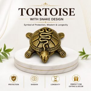 Brass Tortoise with snake design 0.4 Inch KBH8562_19