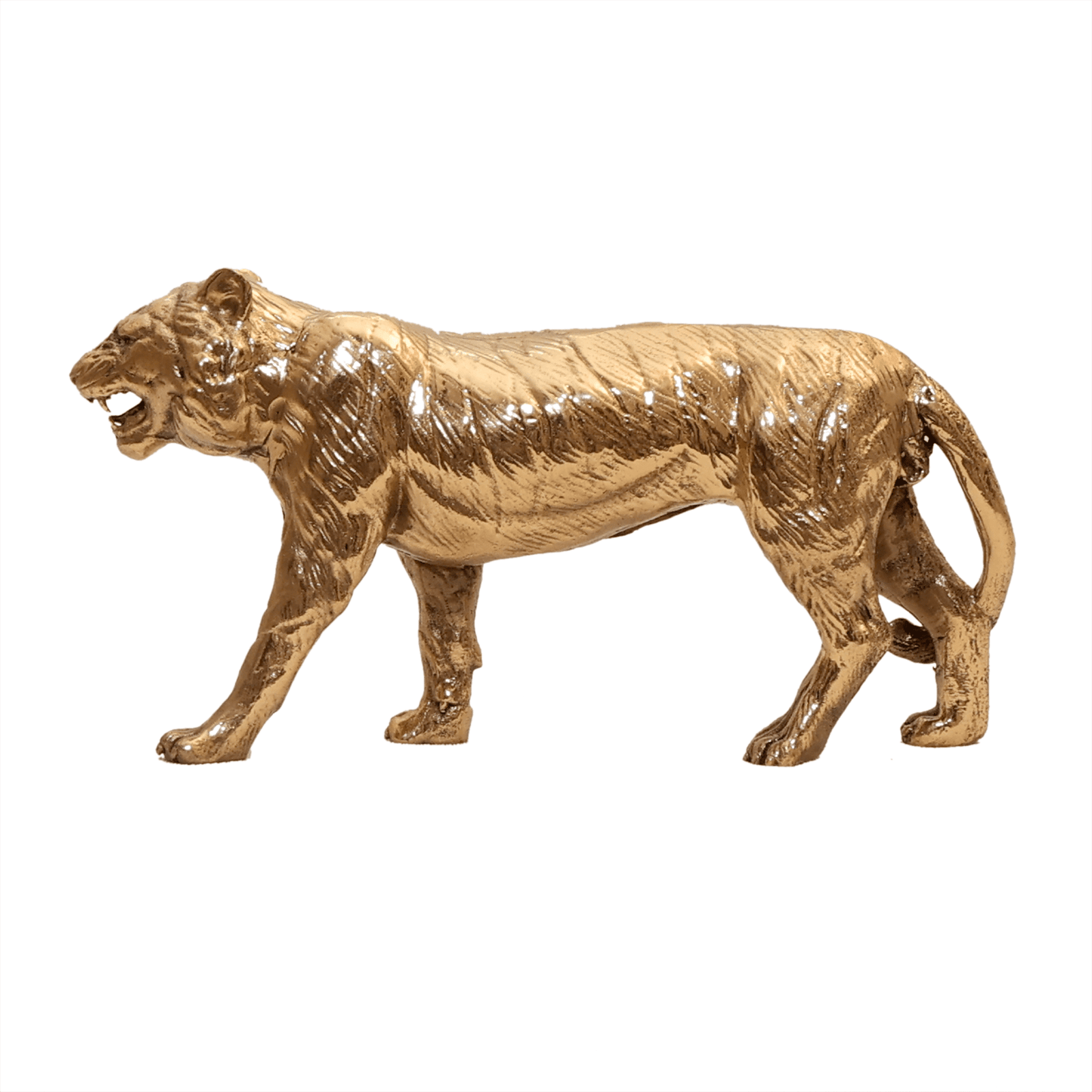 brass Tiger 2.5 Inch KBH12532 brass Tiger 2.5 Inch KBH12532