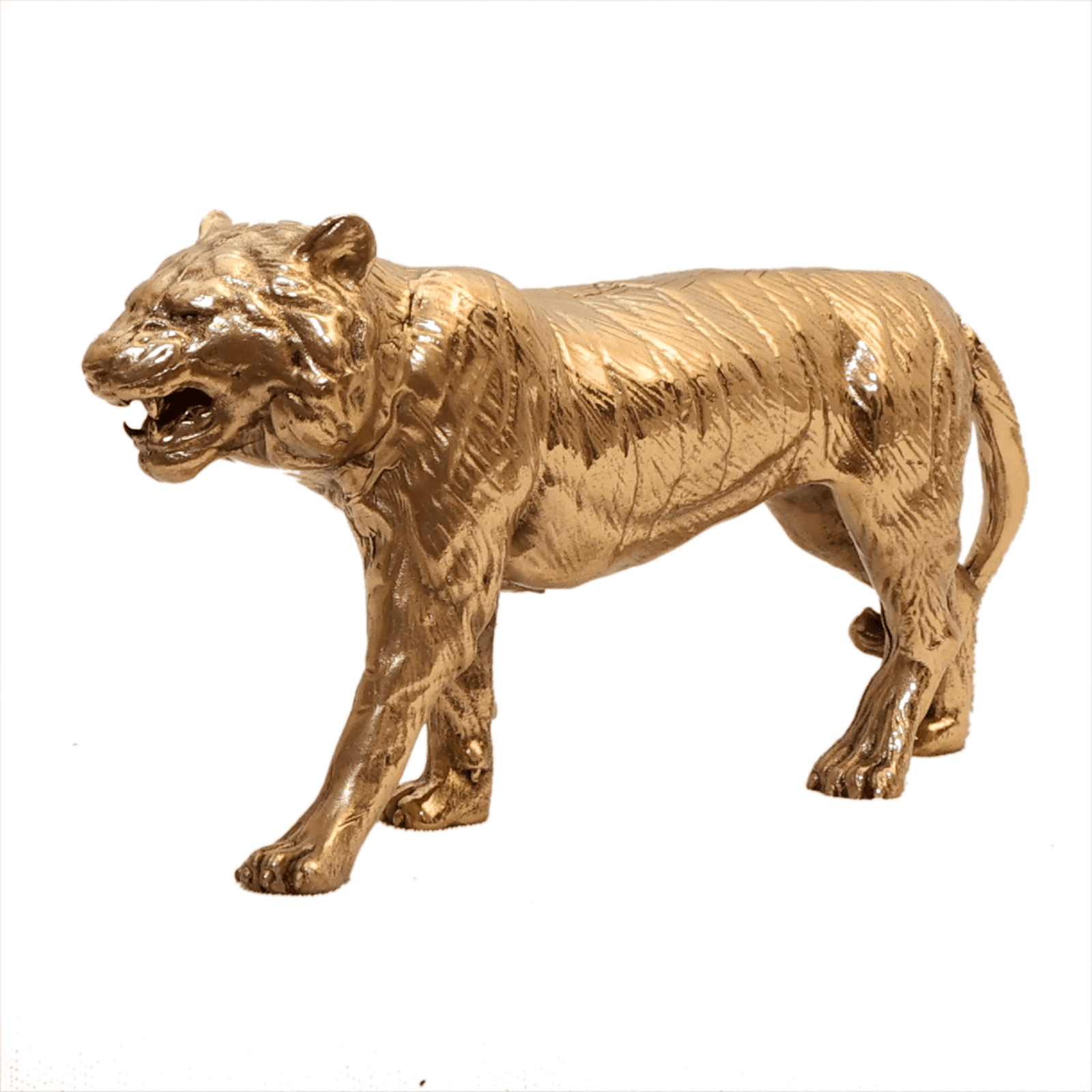 brass Tiger 2.5 Inch KBH12532 brass Tiger 2.5 Inch KBH12532