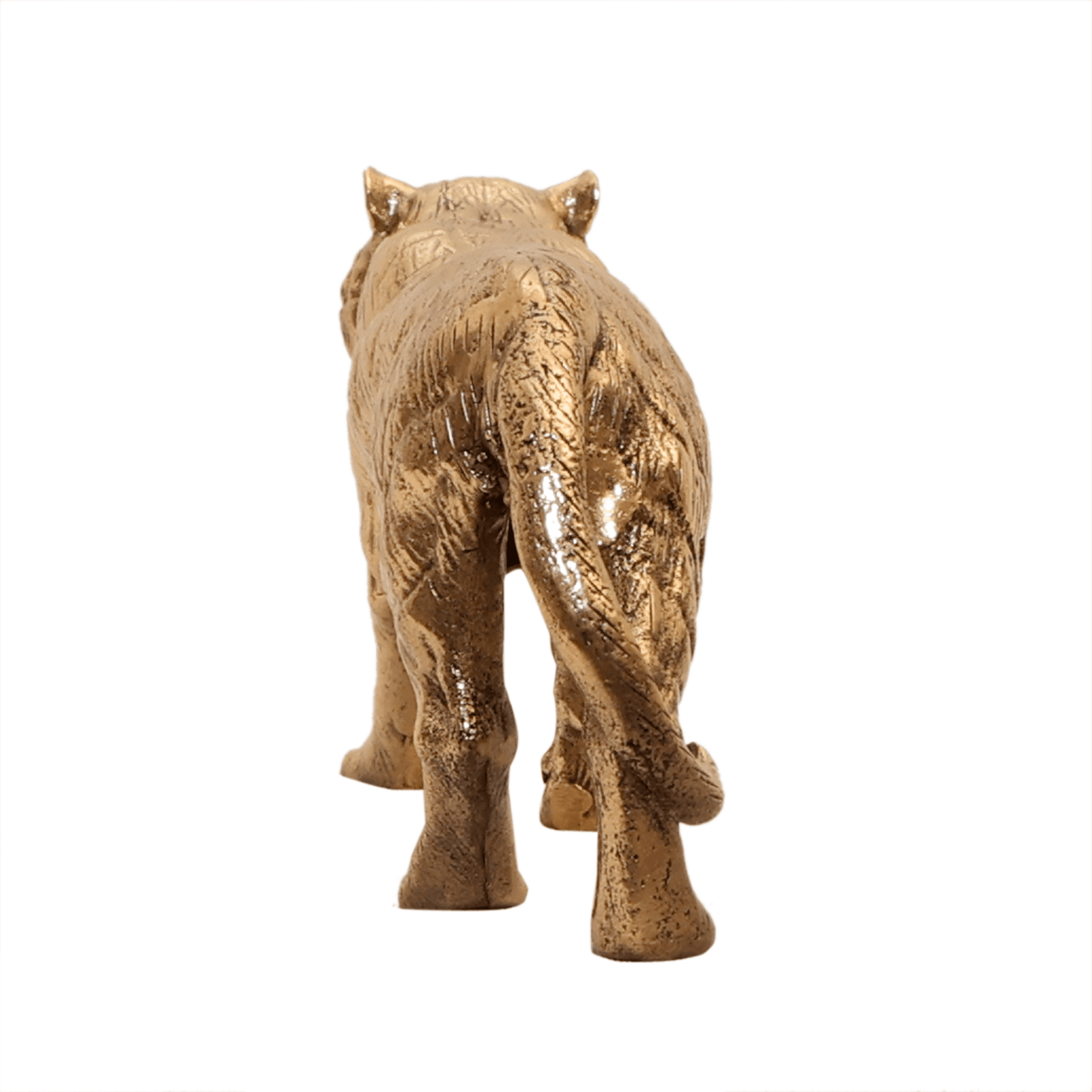 brass Tiger 2.5 Inch KBH12532 brass Tiger 2.5 Inch KBH12532