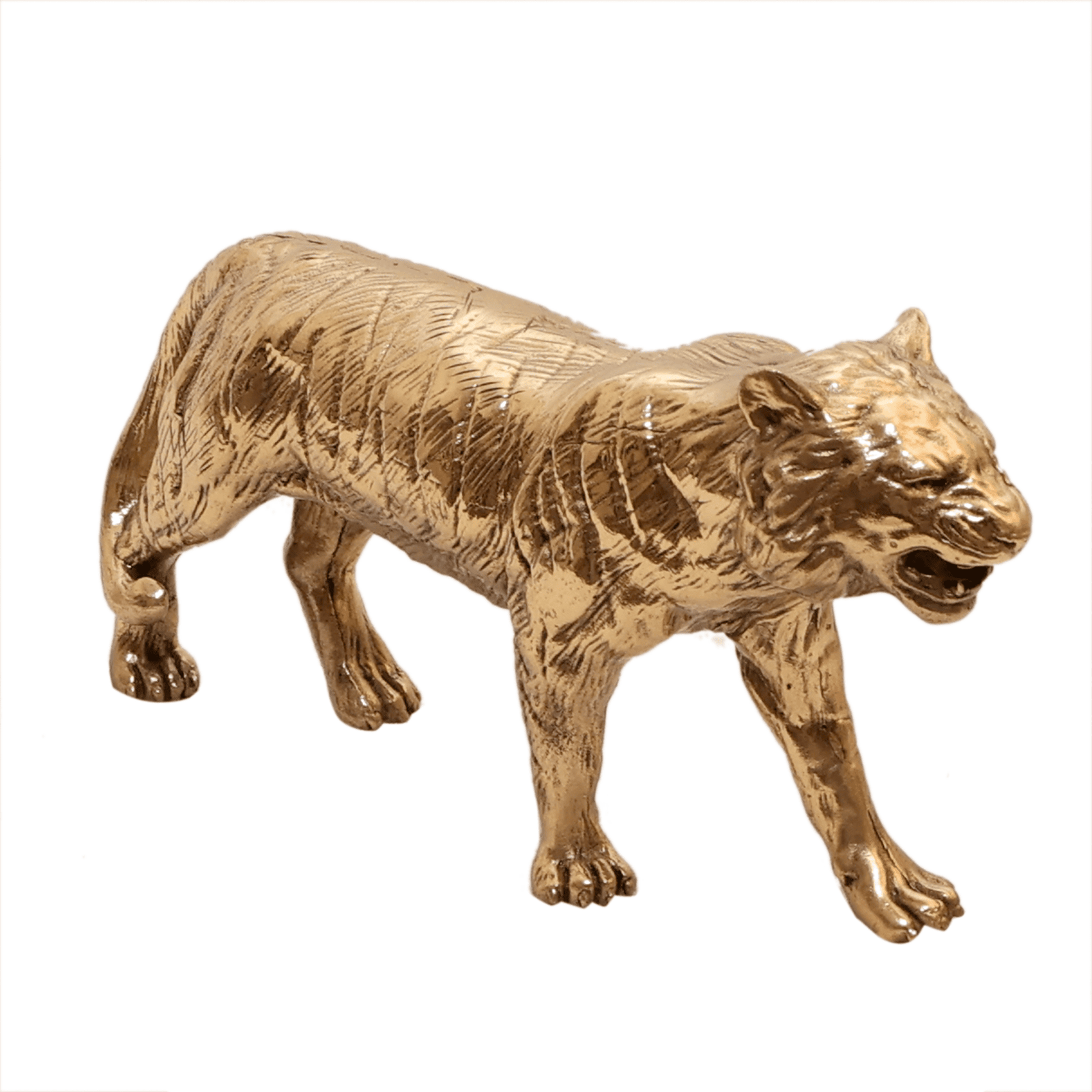 brass Tiger 2.5 Inch KBH12532 brass Tiger 2.5 Inch KBH12532