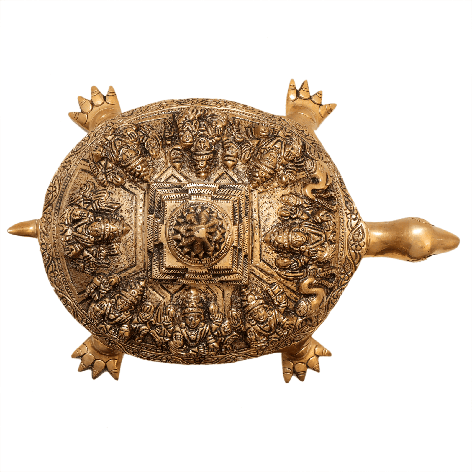brass Asthalaxmi Tortoise 5.5 Inch KBH12555 brass Asthalaxmi Tortoise 5.5 Inch KBH12555