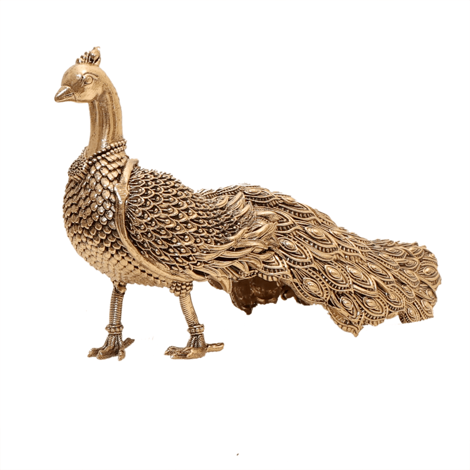 brass Peacock 3.1 Inch KBH12561 brass Peacock 3.1 Inch KBH12561