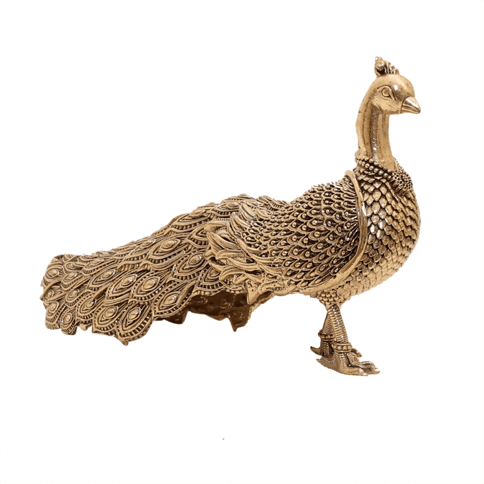 brass Peacock 3.1 Inch KBH12561 brass Peacock 3.1 Inch KBH12561