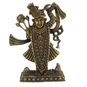 Brass Shreenathji 3 Inch BH09334